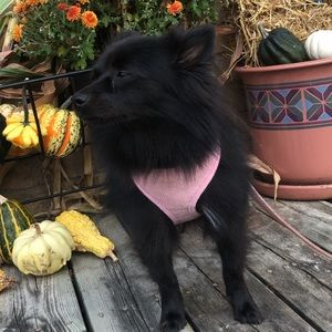 Meet your Posher, Lindsay